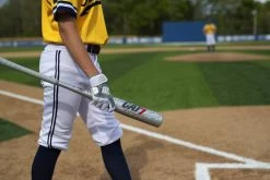 Marucci CAT 7 Silver (-5) USSSA Baseball Bat: MSBC725S -Baseball Discounts Shop CAT7Silver 6